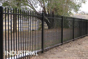 Rod Top Ornamental Steel Fence